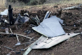 В лесу под Гомелем разбился беспилотник самолетного типа