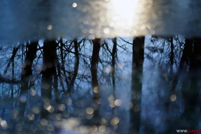 А лёд усё адно растане. 10 фота з вясновым настроем