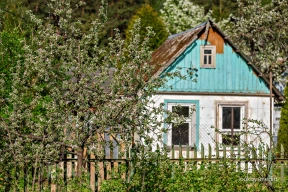 Россиянка захотела купить домик в беларуской деревне. Ей объяснили, почему этого не стоит делать